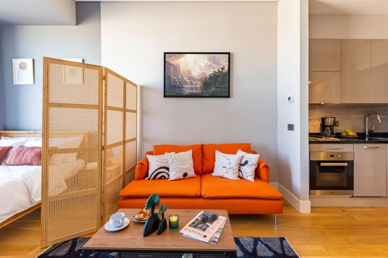 Studio Flat With Panoramic City View In Atasehir Apartment Istanbul Turkey